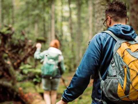 BMI berekenen? Bereken je BMI snel en nauwkeurig