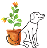 Met onze Aansprakelijkheidsverzekering worden grote en kleine schades aan anderen uitgebreid gedekt. Met onze Aansprakelijkheidsverzekering worden grote en kleine schades aan anderen uitgebreid gedekt.